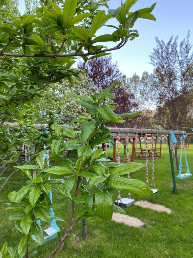 Abant Yesil Vadi Koc Pansiyon Dereceören エクステリア 写真
