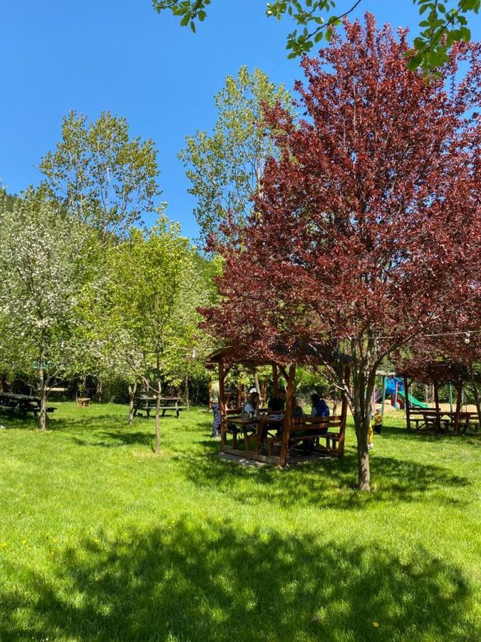 Abant Yesil Vadi Koc Pansiyon Dereceören エクステリア 写真